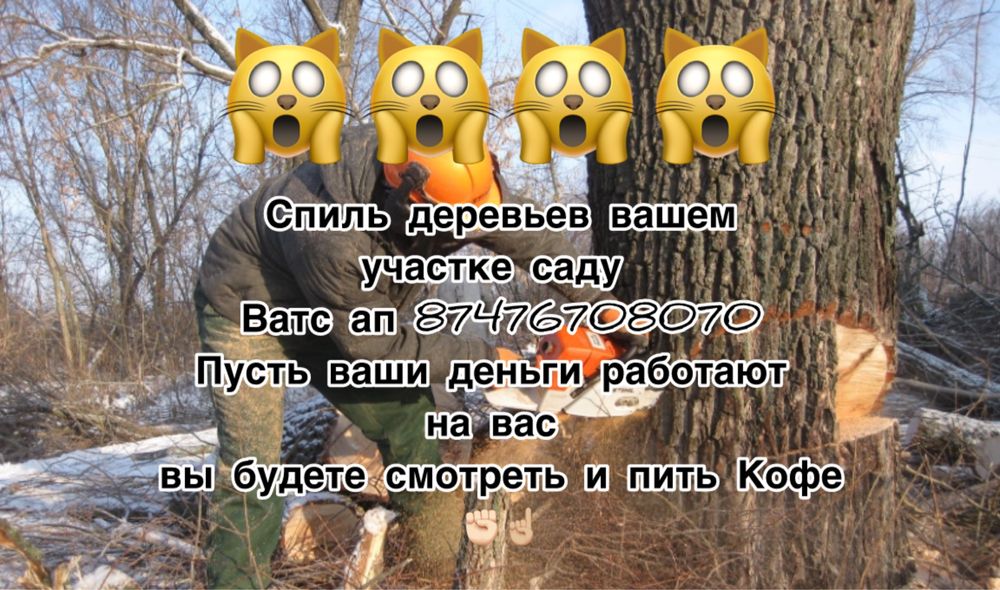 Покос травы с триммером