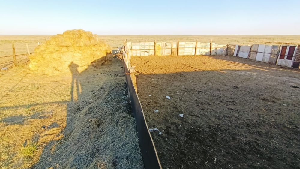 Продам хозяйства