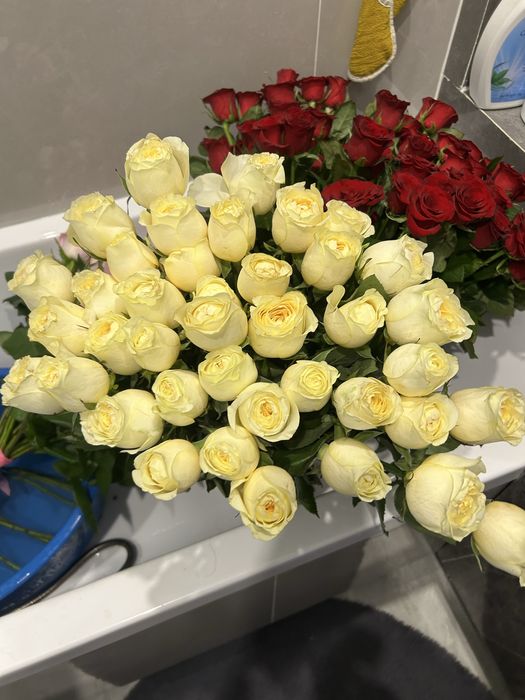 Цветы.Метровые розы