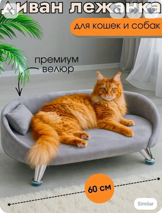 Диван/кровать для котов