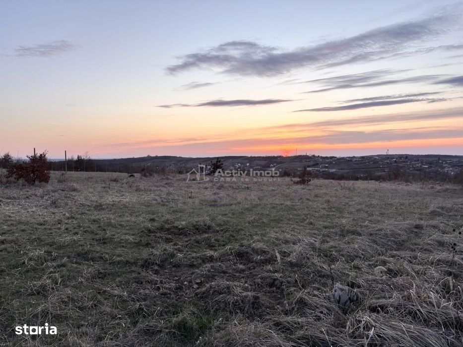 Teren Intravilan 624 mp Saldabagiu de Munte - Paleu