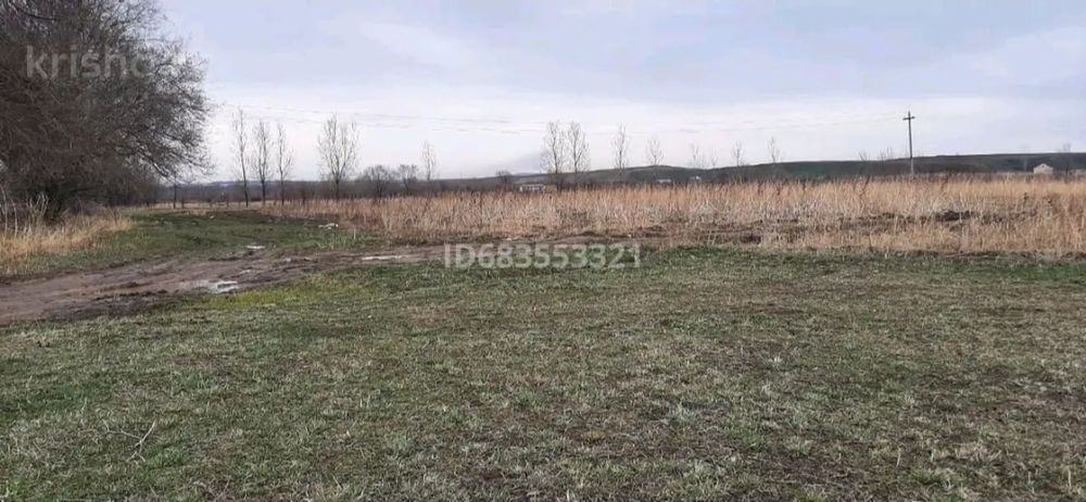 Сдам в аренду участок КХ