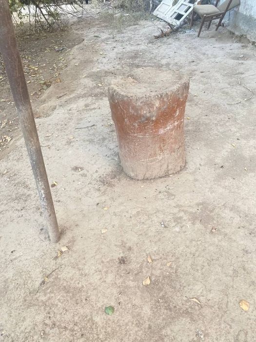 Qassoblar uchun kunda