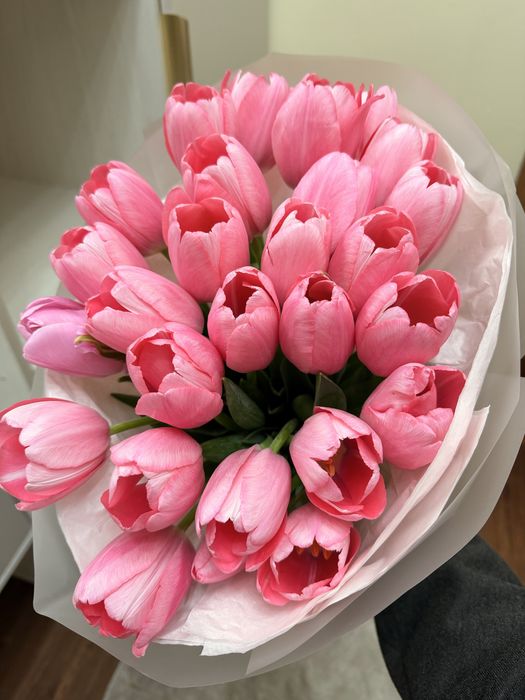 Свежие тюльпаны розовые