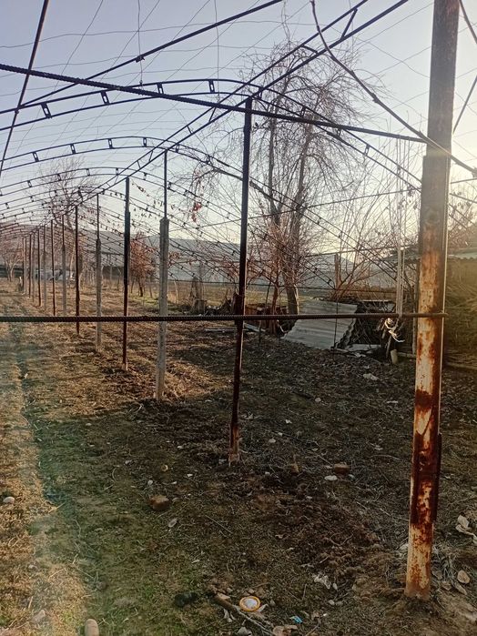 Теплица 2.5сотих