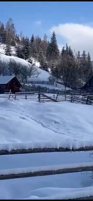 DIRECT PROPRIETAR Atractiv pentru pensiune/casă de vacanță): Teren de Poveste la Munte – 6.000 mp Intravilan + 6.000 mp Extravilan,Dorna Arini-Ortoaia