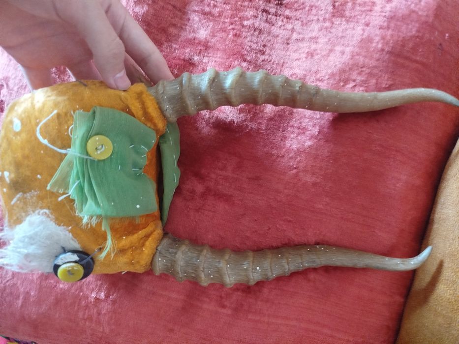 Киіктің мүйізііі