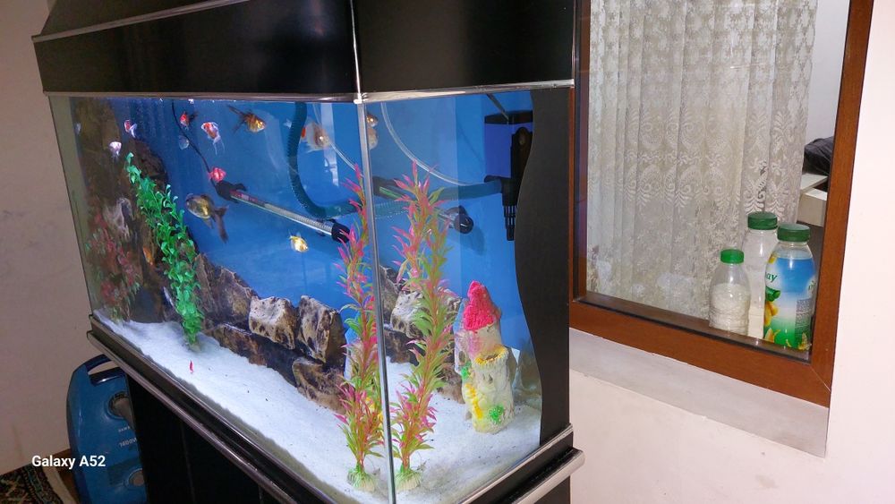 Akvarium akril komplekt