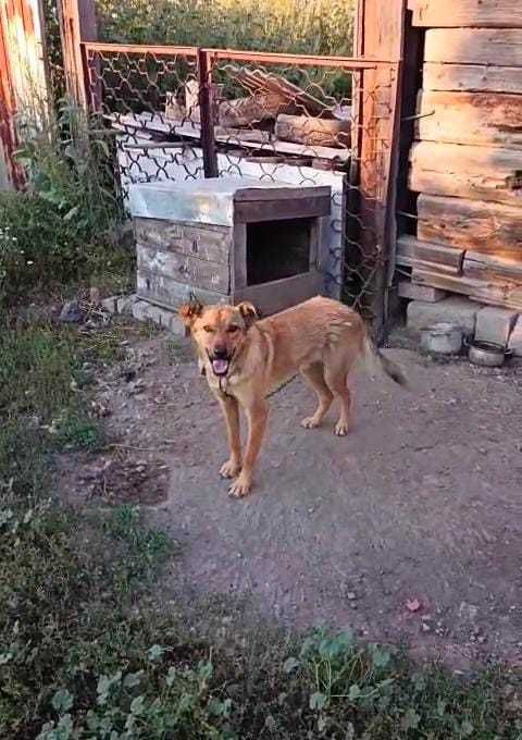 Буся в поиске хороших людей!