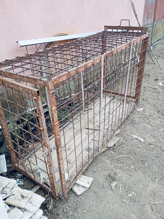 Cuscă transpot animale