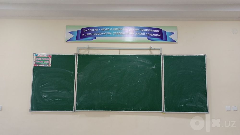 Банеры пластиковые для оформления кабинета биологии