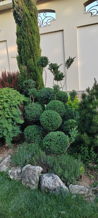 Landshaftniy dizayn (hammasi o’zimizzi ishla internetdan olinmagan)