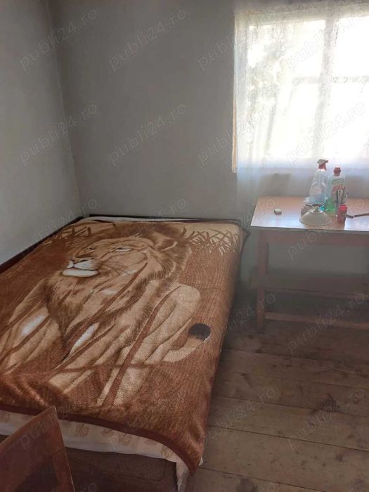 Proprietar | casa de vanzare cu teren intravilan 3516 mp | sat Cojasca