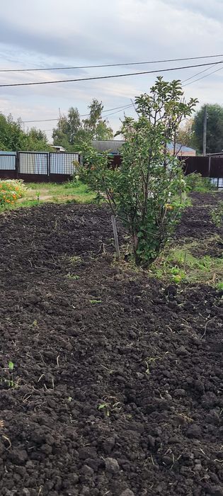 Продам дачу с баней в  СТ  Борки