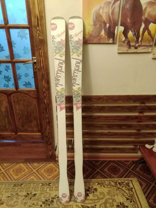 Горные лыжи лыжи