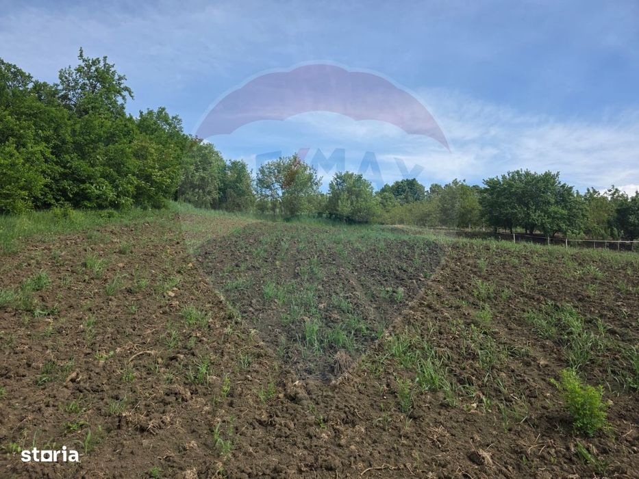 Casă la roșu cu teren 4.234 mp, cadru natural deosebit – Deag, Iernut
