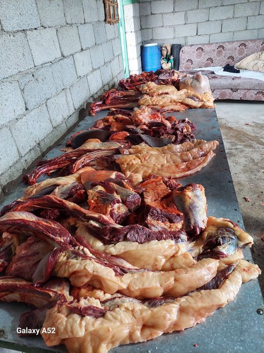 Ет . Согым Пригородное