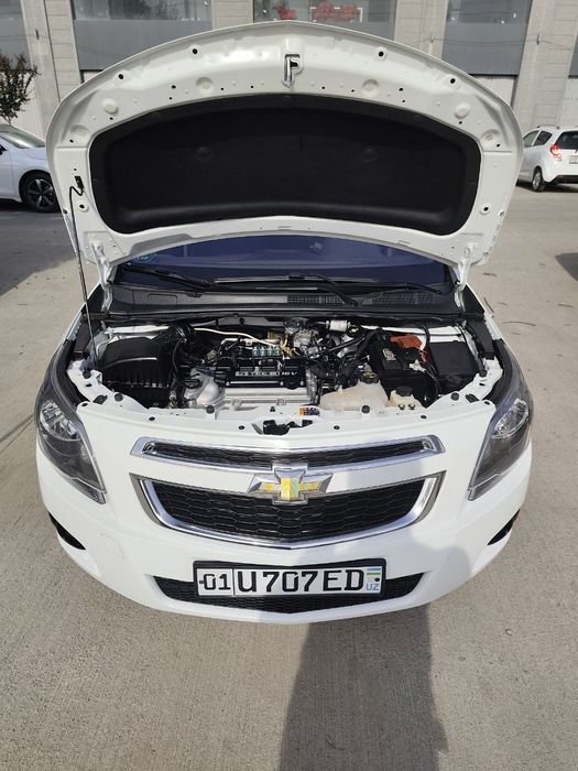 Other Cobalt 2025 — 3