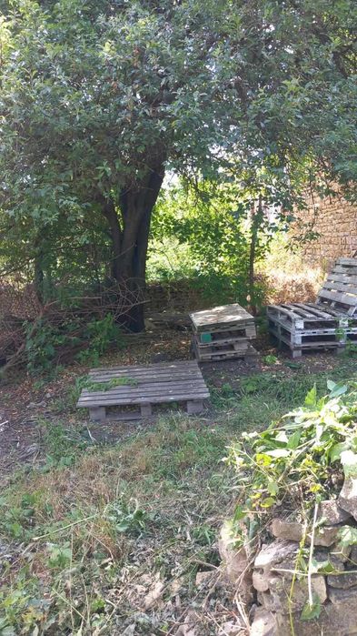 Реновирана къща във Велико Търновско село