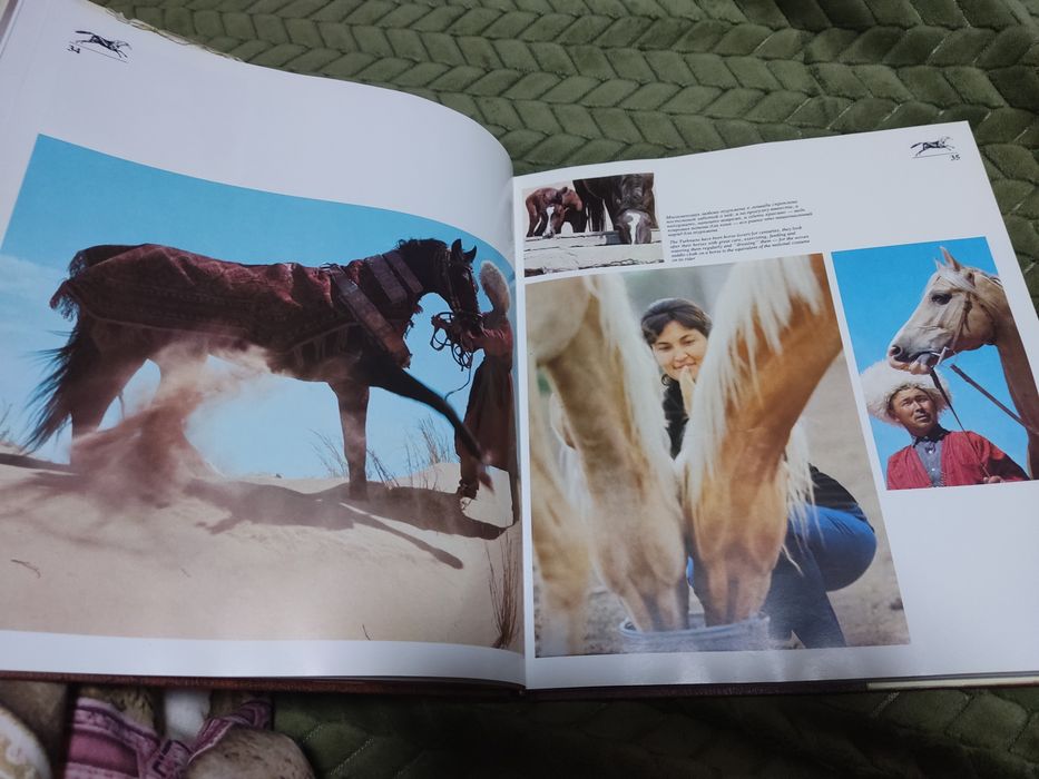 Книга И.Бобылев Ветер в гривe.Лошади