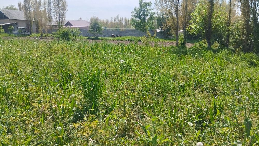 Срочно 6 сотих ер сотилади