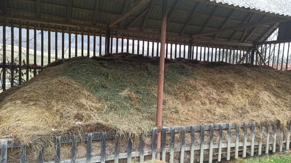 Fân și otavă din grădina casei!