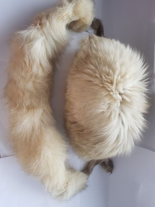 Set Căciulă și fular vulpe polară