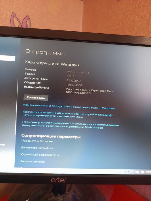 Компьютер   Artel