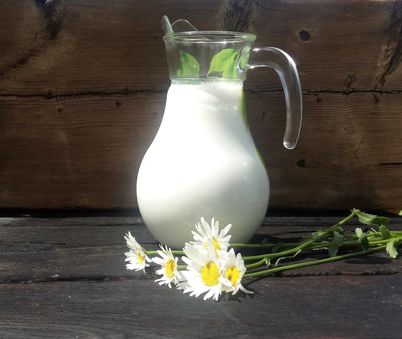 Йогурт из козьего молока (Доставка)