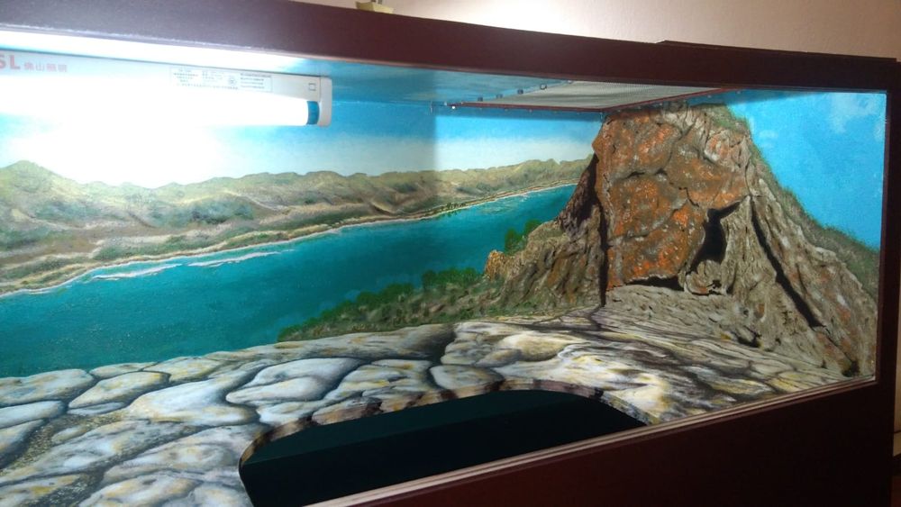 Террариум с пейзажем