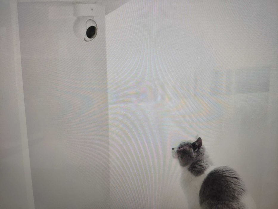 Нова Камера Xiaomi ImIlab 3MP H.265  Security Бебефон  и карта памет 6