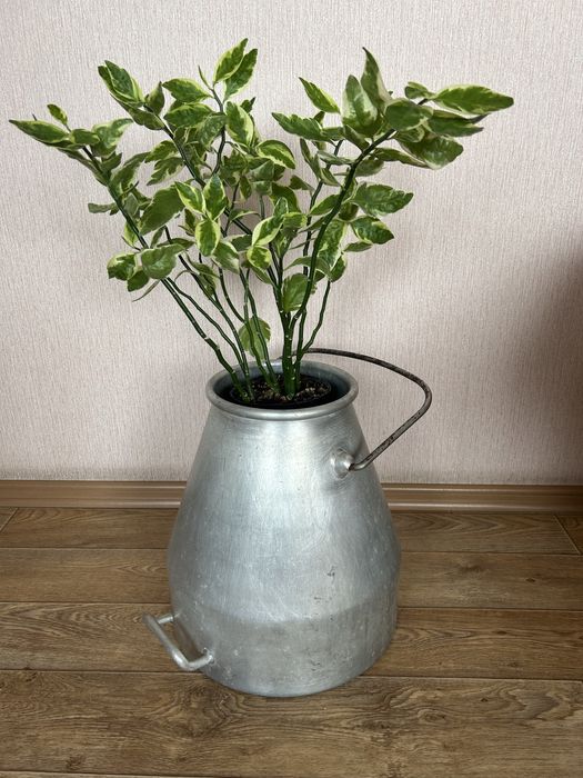 Бидон аллюминеаый 18-20литроавй