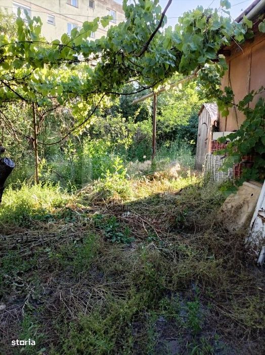 Casa individuala cu 3 camere de inchiriat, 55 mp , Campia Turzii
