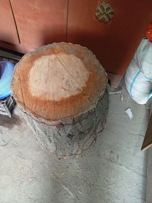 Ўрик дарахтдан гўшт майдалаш усун кундалар сотилади