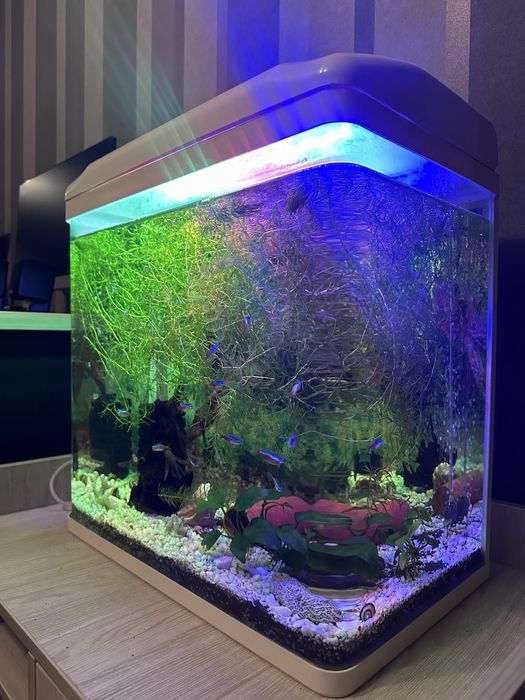 Продам аквариум.