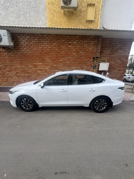 Byd chazor 2 pozitsiya