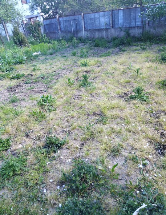 Продава се Къща в с. Червен брег, Област Кюстендил - 80 кв.м за 670 €/кв.м - Снимка #6