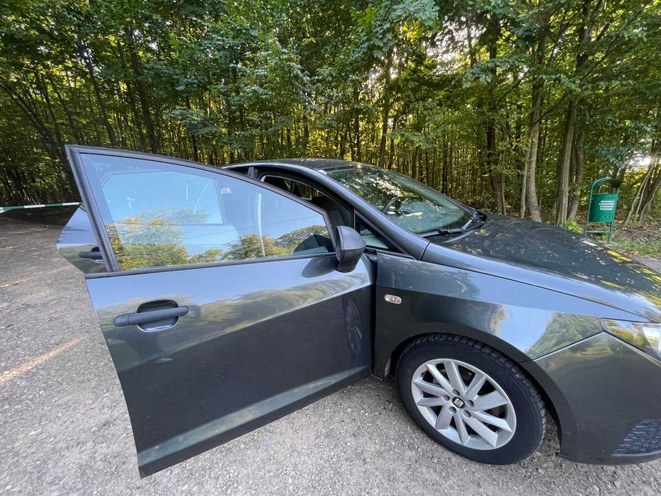 SEAT Ibiza 2011 — imagine 2