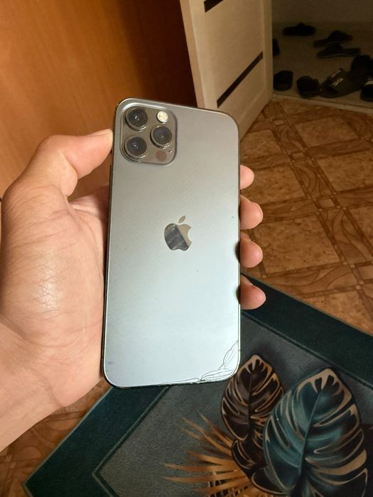 apple         12 pro
