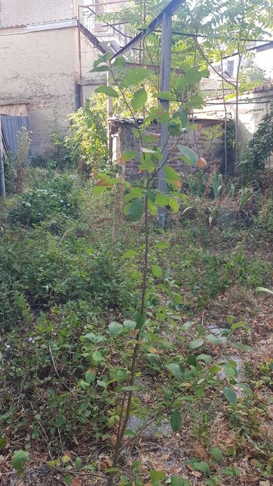 Продава се Етаж от къща в Дупница - 3 кв.м за 23000 €/кв.м - Снимка #3