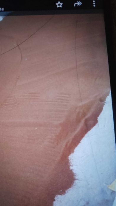 Vând samanta ghizdei,lucerna