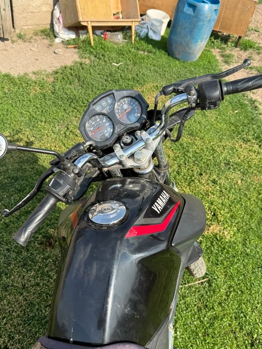 Yamaha ybr 125 factor