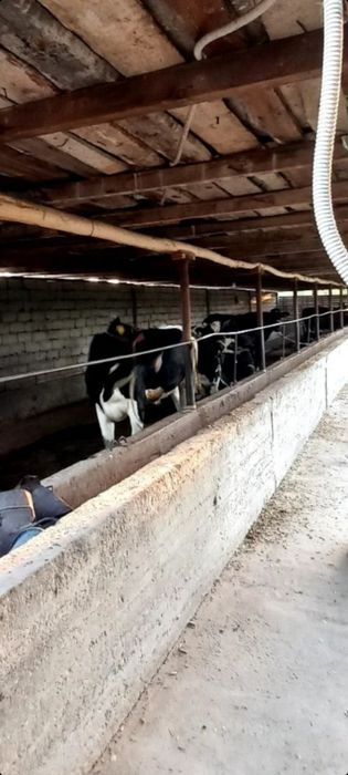 Саид ота дом 4 сот 3 комнаты