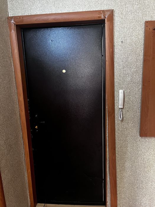 Входной дверь железный