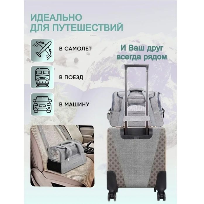 Переноска для кошек и собак
