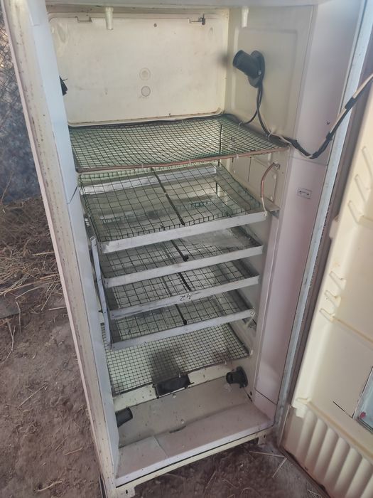 Inkubator holodilnik