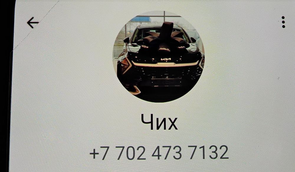 Чихуахуа.  Осторожно. Это мошенник. Меняет Аватарки.