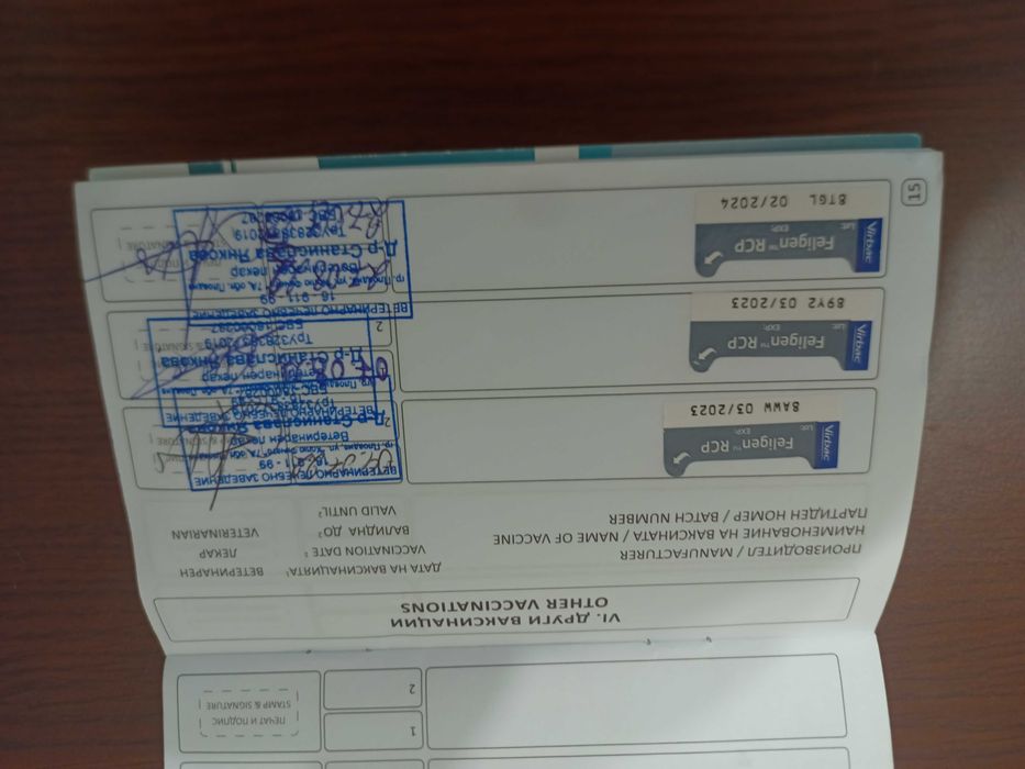 Пухкаво коте търси нов дом