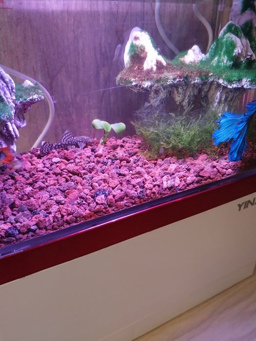 Аквариум умный комплект