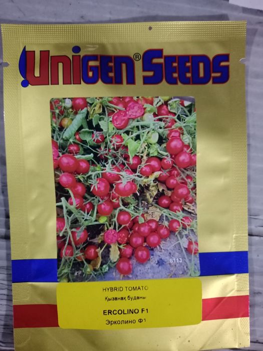 Продам семена томатов чери